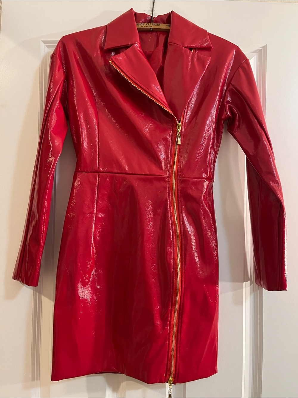 Red Vinyl Zip Dress
